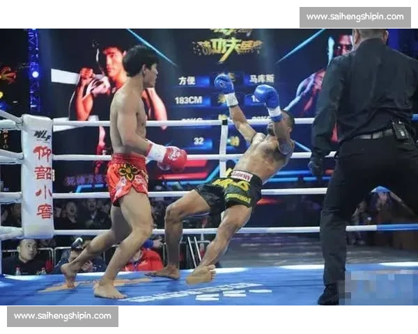 杜姆贝vs方便巅峰对决解析硬实力与格斗智慧的正面碰撞全面剖析